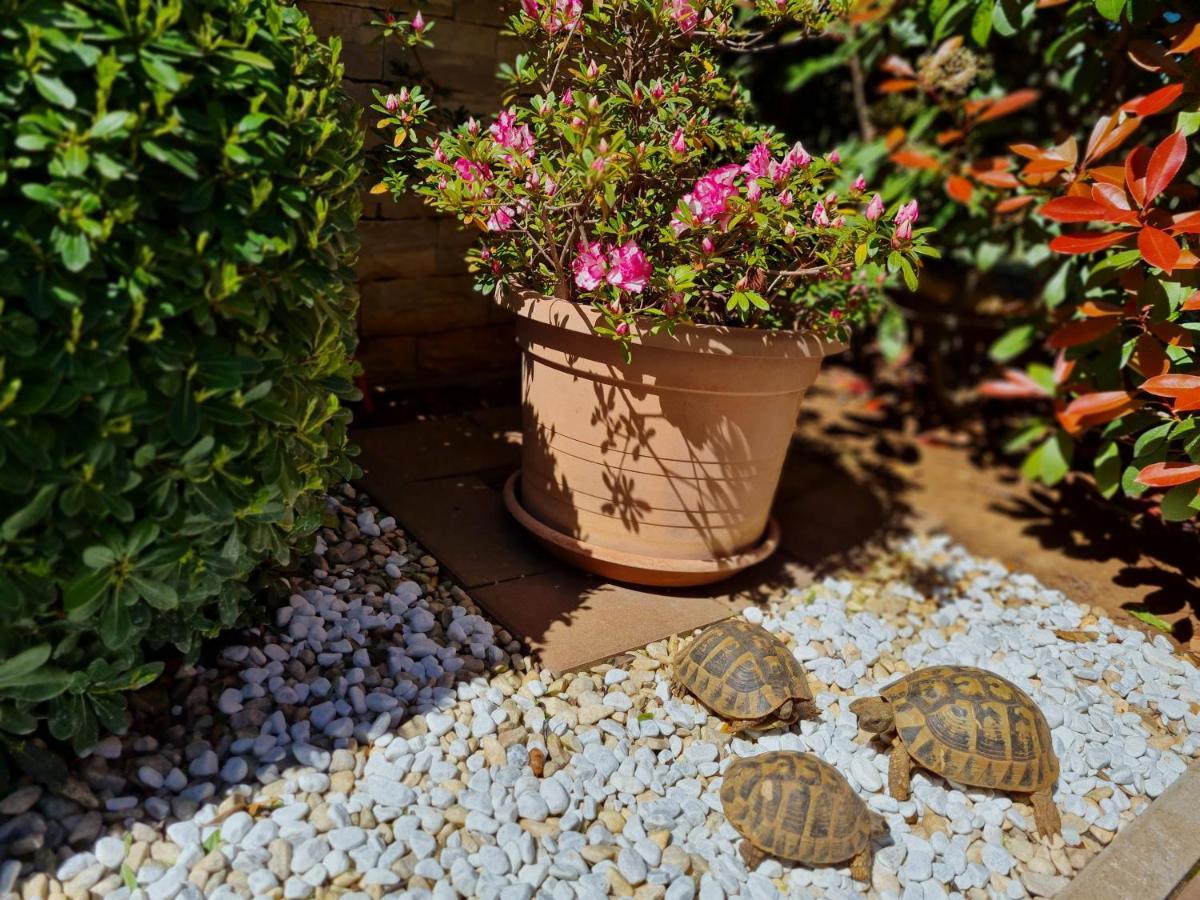 Holiday Home Drago Zadar Bagian luar foto